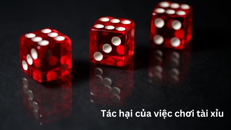 Tác hại của việc chơi tài xỉu – hậu quả đáng sợ